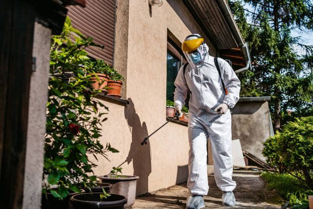 Best Best Pest Control Companies  in Curtisville, PA