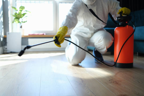 Best Emergency Pest Control  in Curtisville, PA