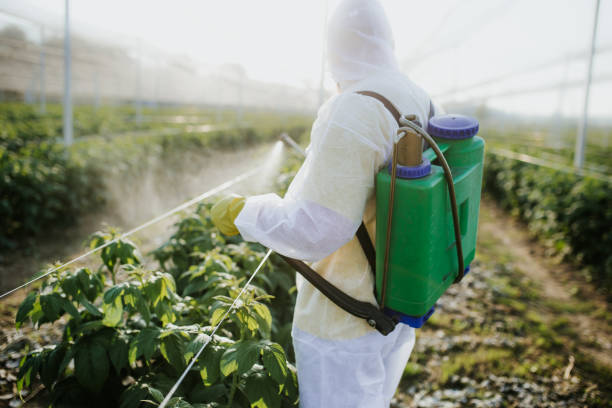 Best Pest Inspection Near Me  in Curtisville, PA
